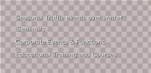 Mast Truffle Seminars   Parallel  HD Png Download