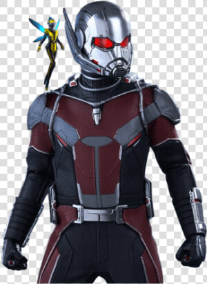 Transparent Antman Logo Png   Png Ant Man And The Wasp  Png Download