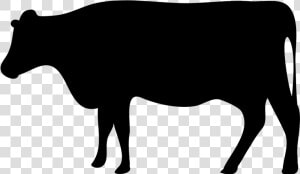 Beef Cattle Dairy Farming Livestock Dairy Cattle   Transparent Beef Cow Icon  HD Png Download