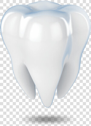 Tooth Model Waterford  Ct   Fang  HD Png Download