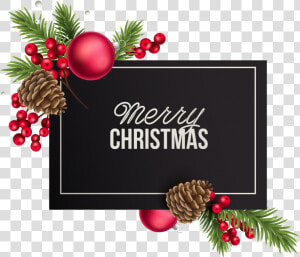 Merry Cristmas Png   Christmas Tree  Transparent Png