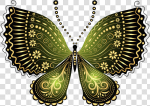 Beautiful Green Decorative Butterfly   Beautiful Butterfly Images Png  Transparent Png