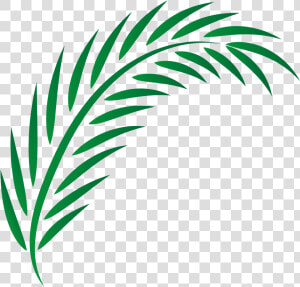 Transparent Illuminated Manuscript Clipart   Vector Palm Leaves Png  Png Download