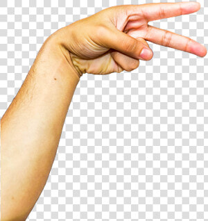 Arm Png Image Transparent Background   Arm Png  Png Download