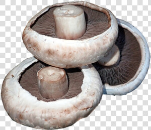 Mushrooms  Vegetables  Food  Cooking  Healthy  Organic   Shiitake  HD Png Download