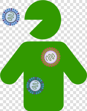 Virus Host  HD Png Download