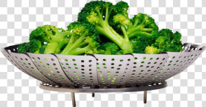 Broccoli Salad Png Image   Steamed Broccoli Transparent Background  Png Download