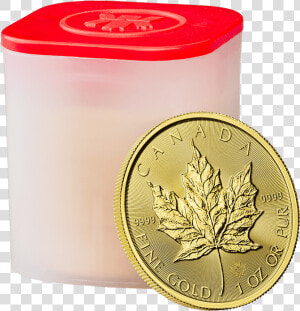 Canadian Maple Leaf 2018 1 Oz Gold Ten Coin Tube   Tube Or Maple Leaf  HD Png Download