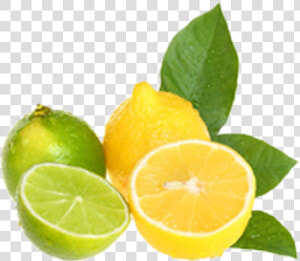 Lemon And Limes Clipart  HD Png Download