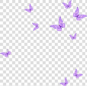 Pink Butterflies Png   Png Download   Pink Butterfly Png Clipart  Transparent Png