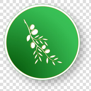 Olive   Circle   Olive Video Editor Icon Svg  HD Png Download