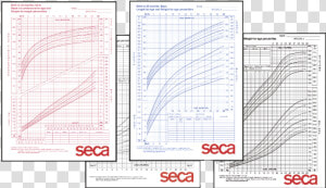 Seca Growth Chart For Boys 2 20 Years   Paper  HD Png Download