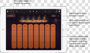 Instrumento Táctil Cuerdas   String Instrument  HD Png Download