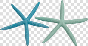 10 Finger Starfish 2 4 Dyed Pastel   Starfish  HD Png Download