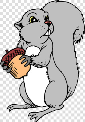 Squirrel Nuts Picture   Gray Squirrel Clipart  HD Png Download