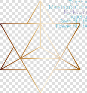 Metatron  39 s Cube Star Tetrahedron  HD Png Download