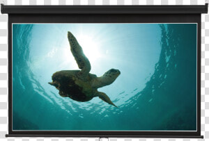 Product Image 05896 title Wide Projection   Tortuga Cabos San Lucas  HD Png Download