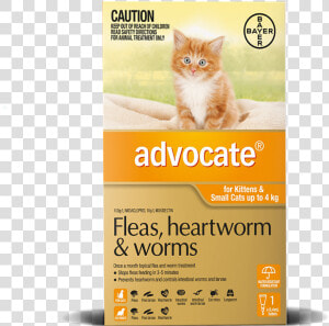 Advocate Cat Flea Treatment  HD Png Download