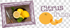 Citrus fruit   Sweet Lemon  HD Png Download