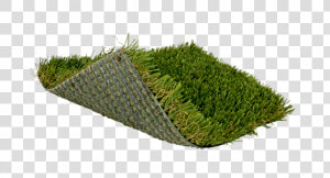 Artificial Turf  HD Png Download