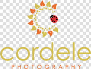 Cordele Photography   Bridgebio Pharma Logo  HD Png Download