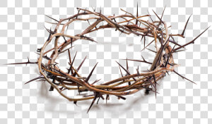 Stock Photography Crown Of Thorns Royalty free   Crown Of Thorns Png  Transparent Png