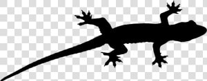 Gecko Lizard Fauna Font Silhouette   Gecko Silhouette  HD Png Download