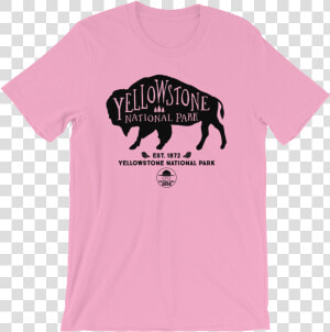 Yellowstone National Park Geek T Shirt   Yosemiti Park Shirt  HD Png Download