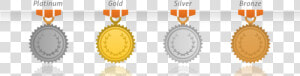 Metallic Levels For Individuals And Group Health Coverage   Bronze Silver Gold Platinum Medals  HD Png Download