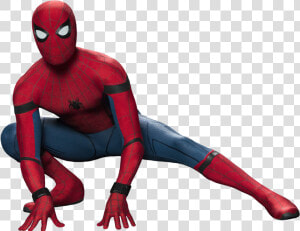 Spidey Upsidedown   Spiderman Homecoming Transparent Background  HD Png Download