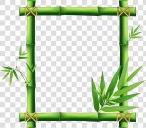 Transparent Bamboo Clipart   Bamboo Frame Clipart Png  Png Download