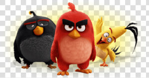 Art Id     Angry Birds Red Chuck Bomb  HD Png Download