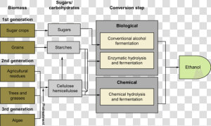 Outline Of Ethanol Production  HD Png Download