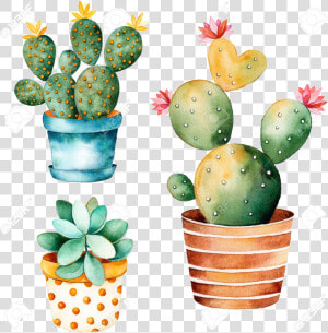 Cactus Clipart Free Watercolor Handpainted Plant And   Cute Cactus And Succulents  HD Png Download