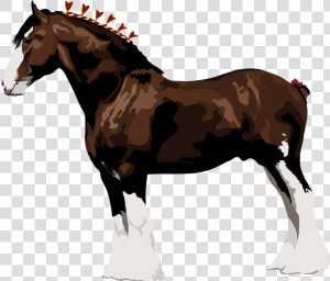 Horse Leg Png   Raça De Cavalo Clydesdale  Transparent Png