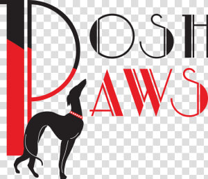 Posh Paws Logo   Dog Catches Something  HD Png Download