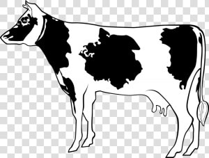 Cow  Livestock  Cattle  Farm  Animal  Beef  Milk   Cartoon Cow Side View  HD Png Download