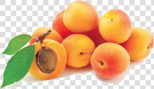 Download Apricot Png Photos 035   Apricot Png  Transparent Png