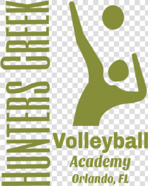 Volleyball Roster  HD Png Download