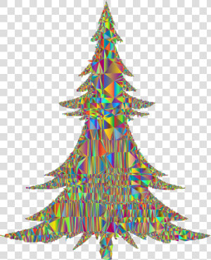 Fir pine Family christmas Decoration   Silhouette Christmas Tree Outline  HD Png Download