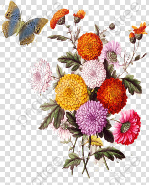 European Aesthetic Vintage Floral   Aesthetic Vintage Png  Transparent Png