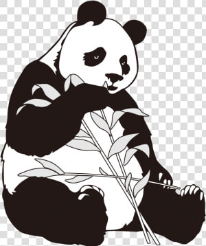 Giant Panda Bamboo Clip Art   Giant Panda Cartoon Png  Transparent Png