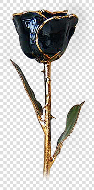 Transparent Black Roses Png   Black And Gold Roses With Stem  Png Download