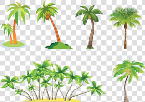 Clipart Palm Tree With Coconuts  HD Png Download