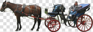 Carriage Png   Horse Drawn Carriage Png  Transparent Png