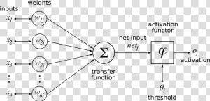 Artificialneuronmodel English   Structure Of Artificial Neuron  HD Png Download