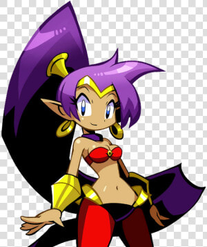 Shantae Wiki   Shantae Half Genie Hero Png  Transparent Png