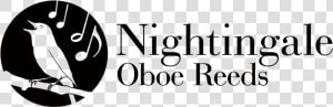 Nightingale Oboe Reeds 0   Oval  HD Png Download