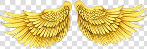 Asa De Anjo Dourada Png  Transparent Png