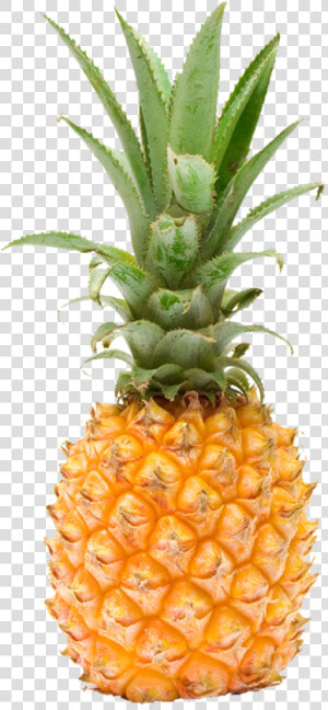 Pineapple Fruit Photography   Pineapple  HD Png Download